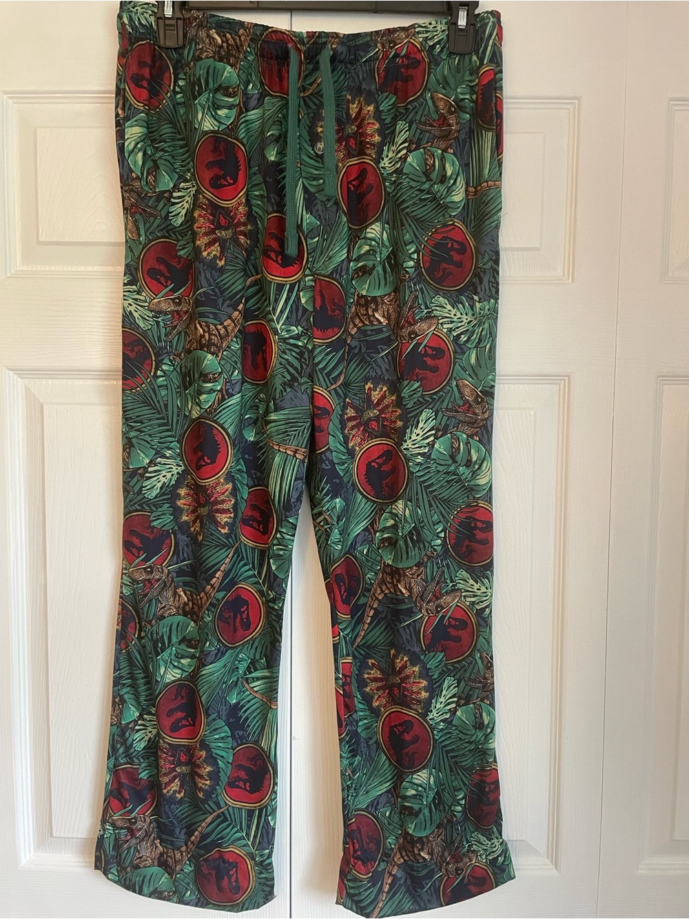 Jurrasic Park men’s pajama pants - size large. EUC